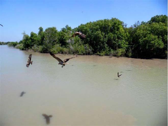 Adelaide River - 2014 World ARC © World ARC - http://www.worldcruising.com/arc/